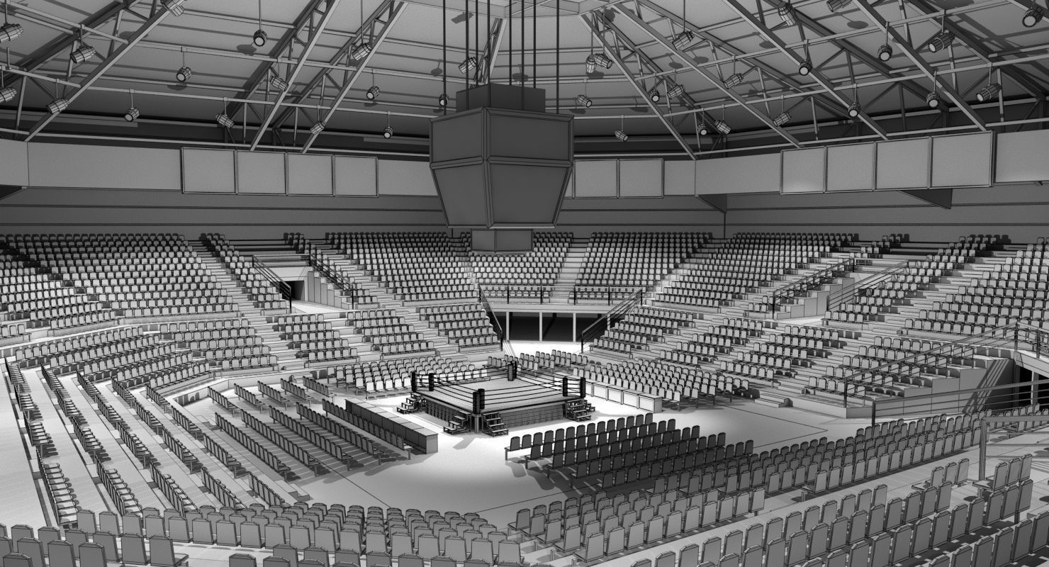 Boxing Arena 3D model 3D model_6