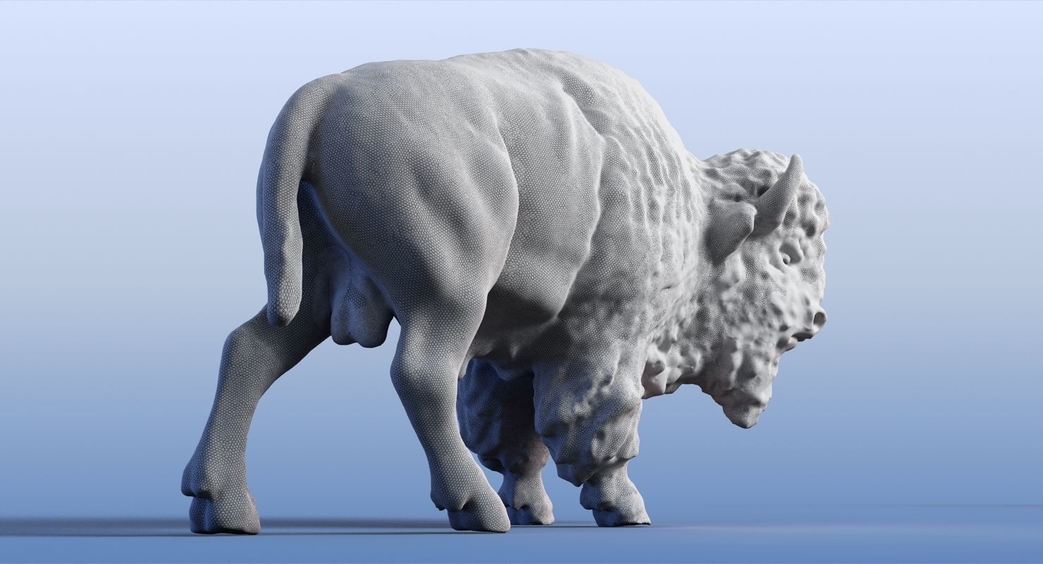 3D Bison 3D model_8