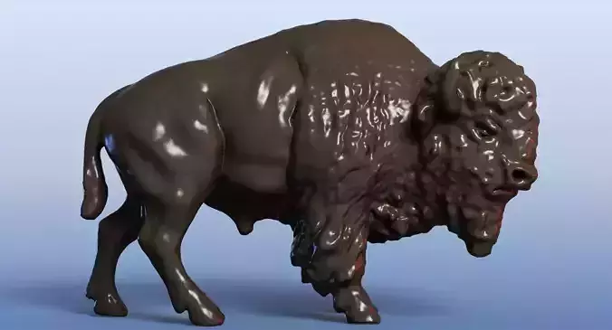 3D Bison