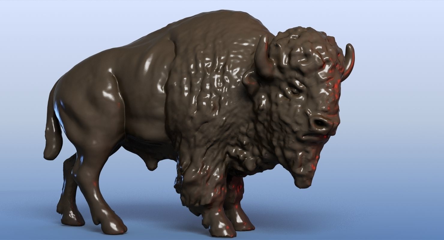 3D Bison 3D model_3
