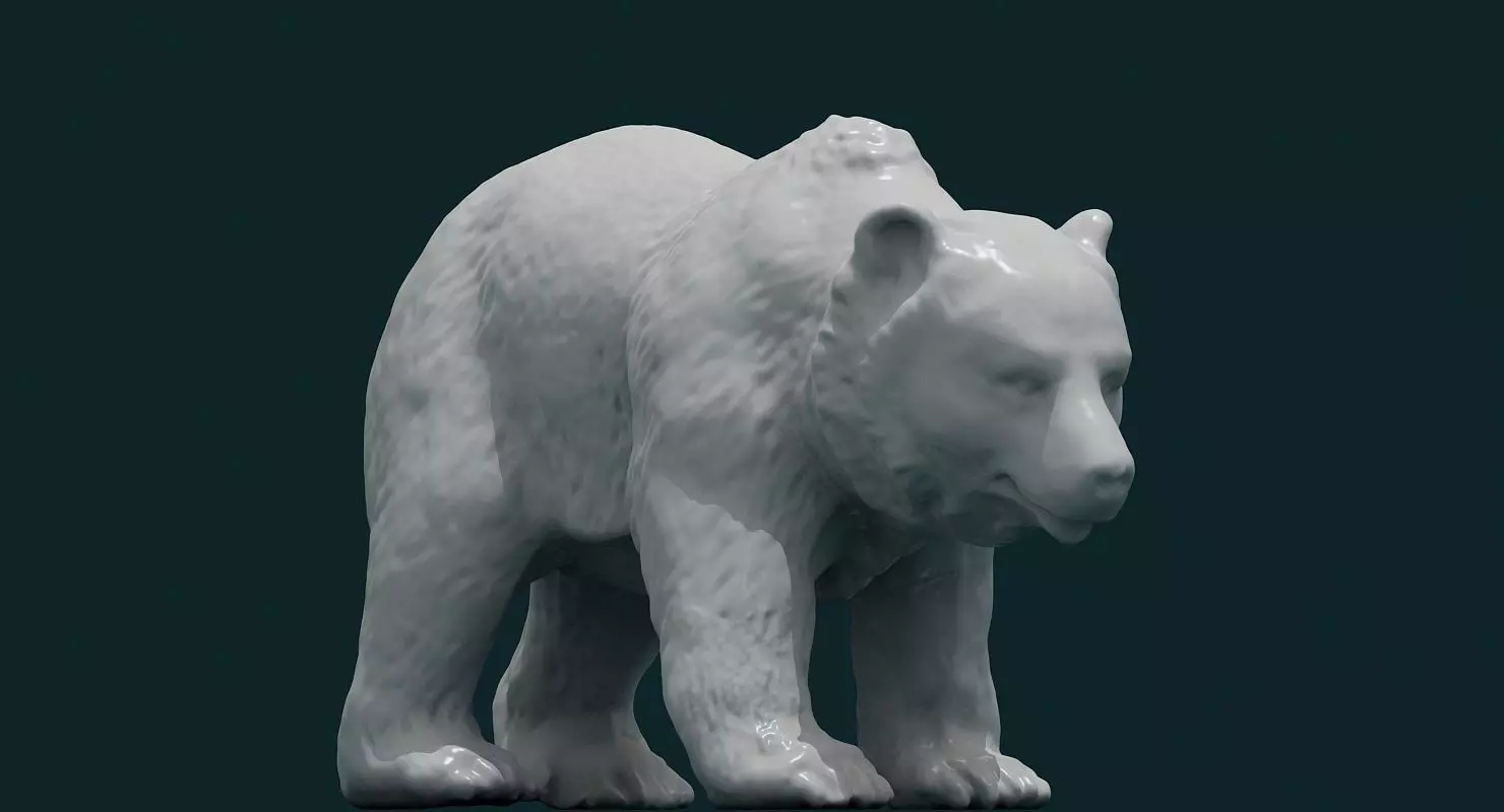 3D Bear polar 3D model