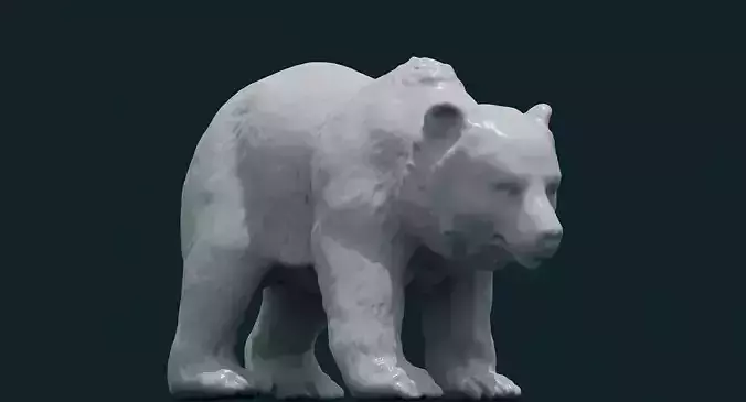 3D Bear polar