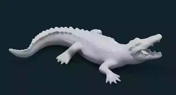 Alligator