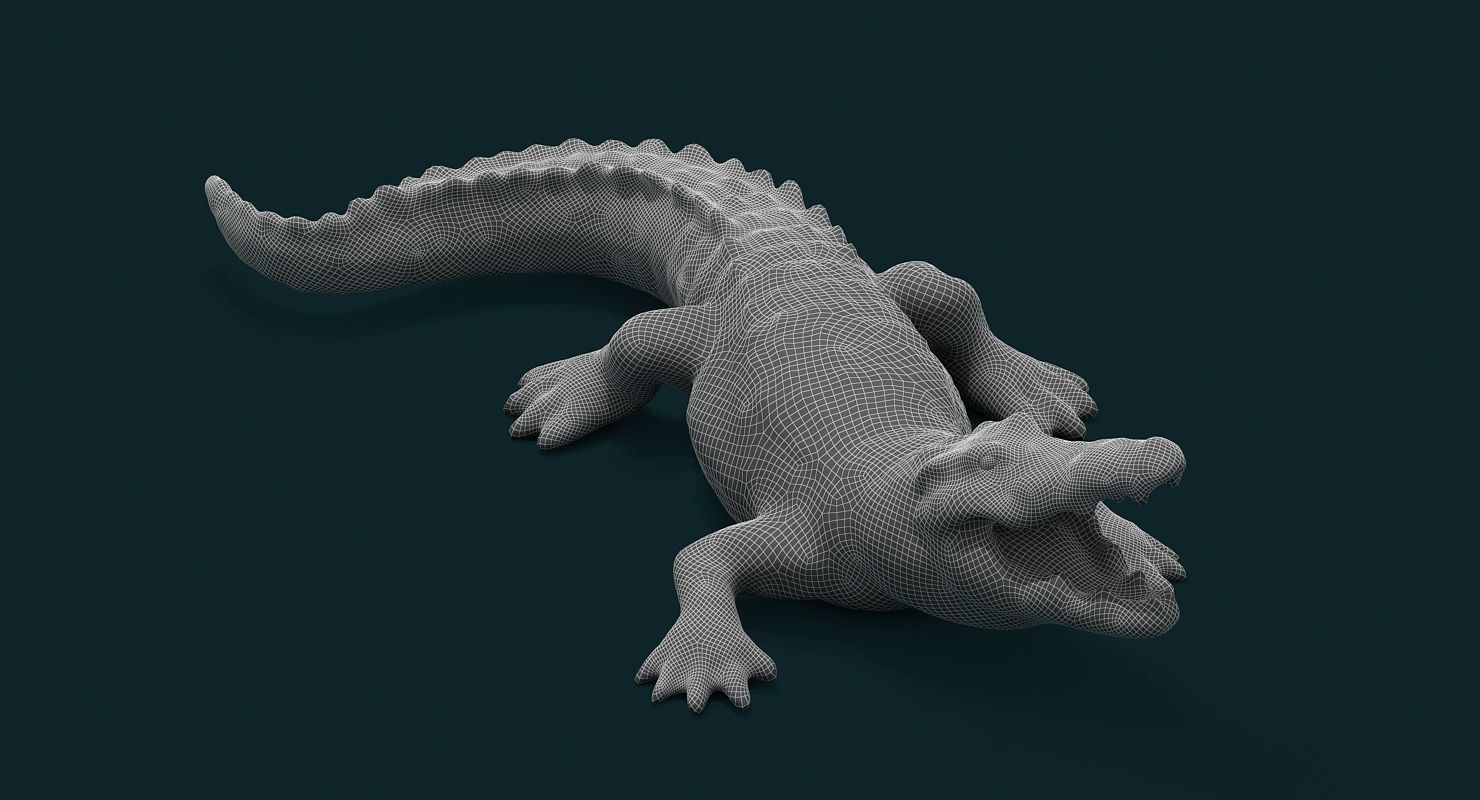 Alligator 3D model_5