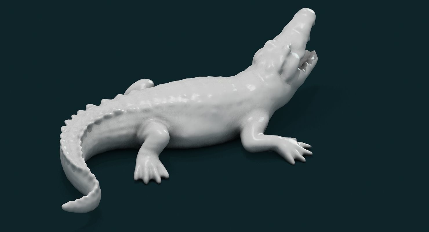 Alligator 3D model_3