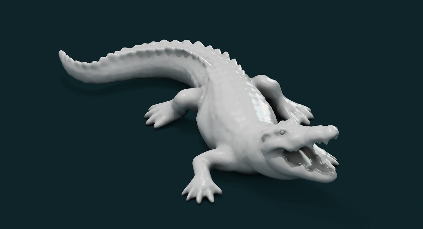 Alligator 3D model_4