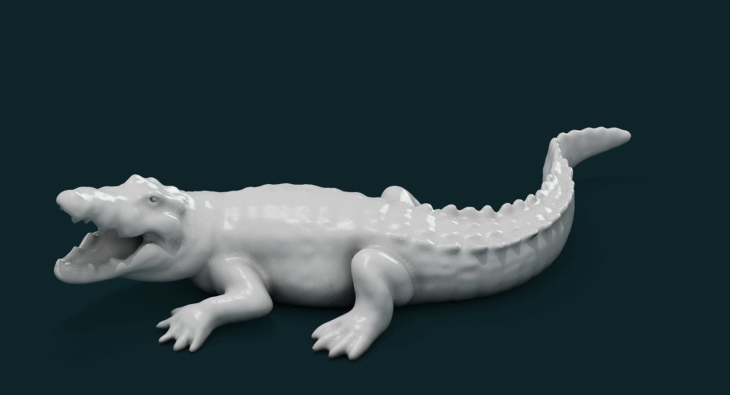 Alligator 3D model_2
