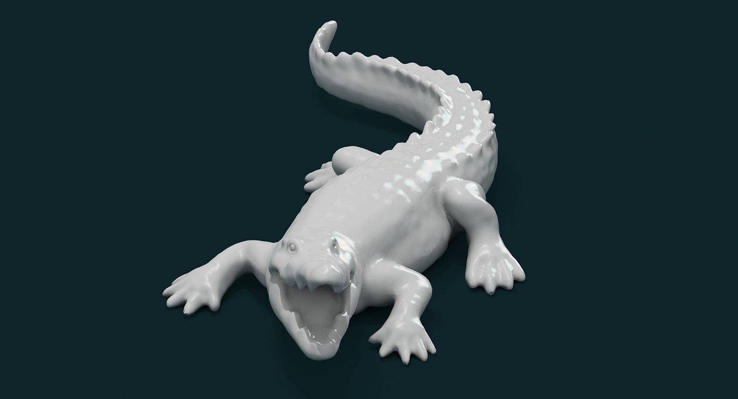 Alligator 3D model_1