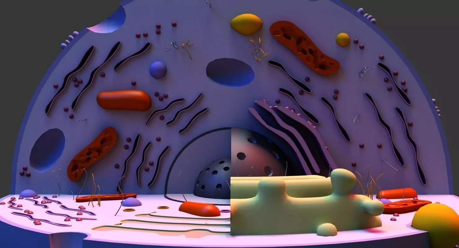 Cell 3D Model in circular shape 3D model_0