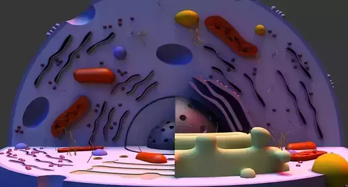 Cell 3D Model in circular shape