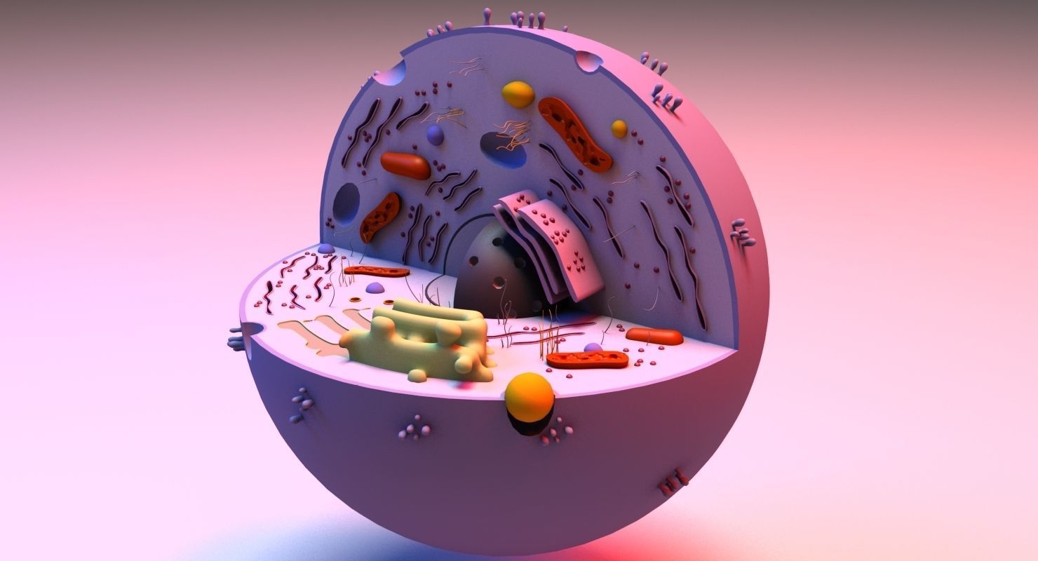 Cell 3D Model in circular shape 3D model_1