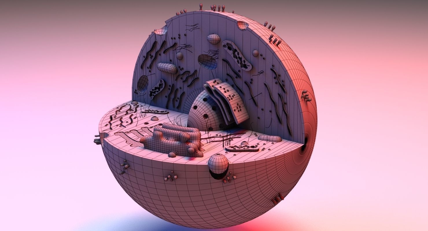Cell 3D Model in circular shape 3D model_5
