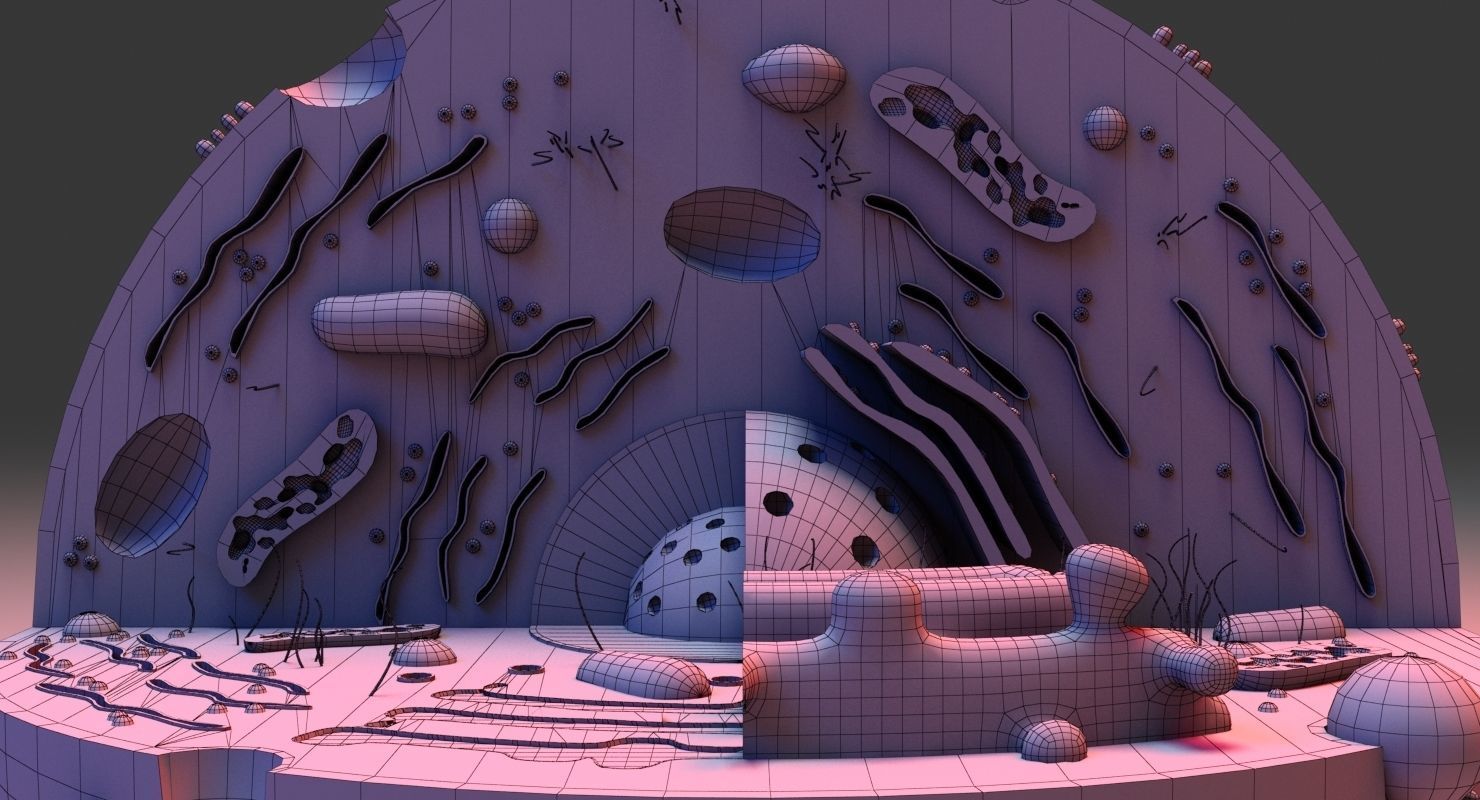 Cell 3D Model in circular shape 3D model_6