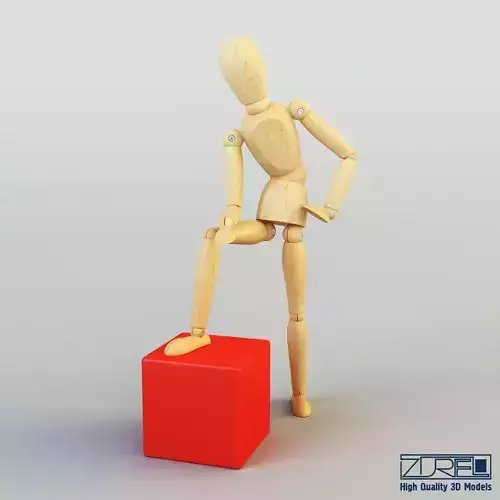 Human figure from 3D model