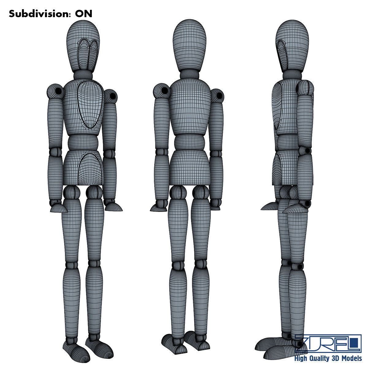 Human figure from 3D model_5