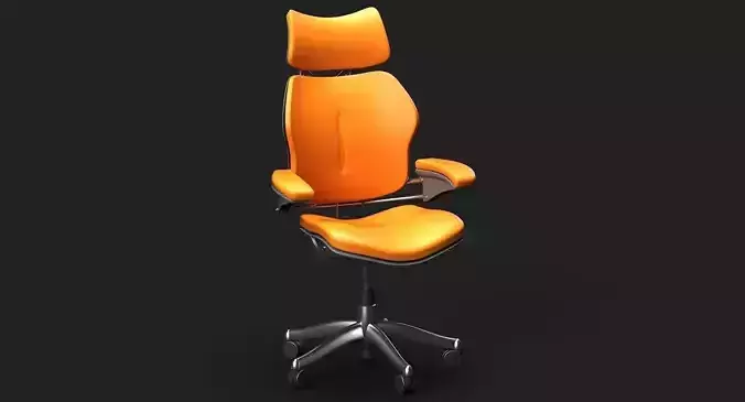 Freedom Chair