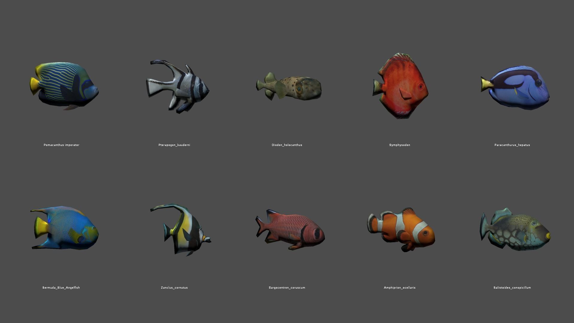AI Fishes - ready solutions for your project for Unity Low-poly 3D model_13