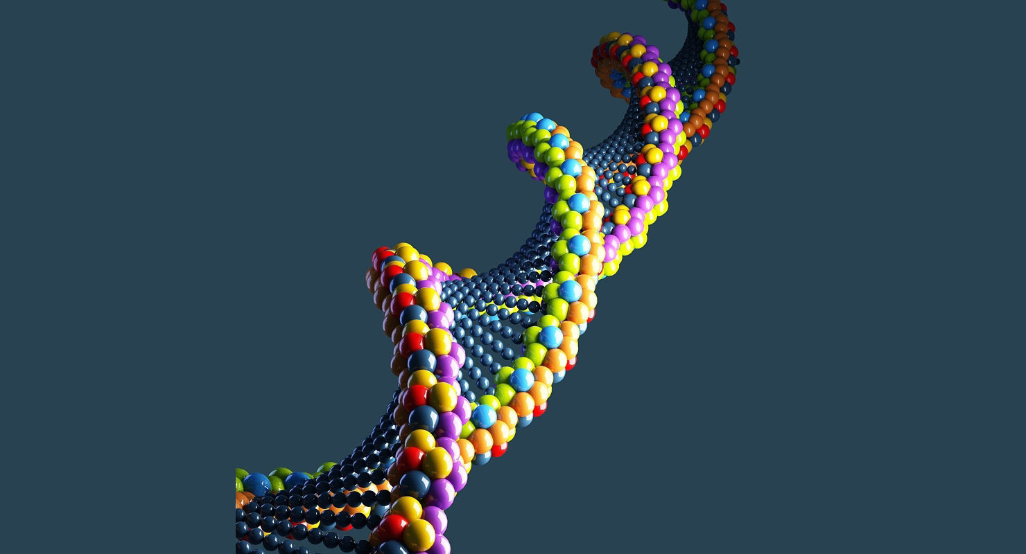 DNA 3D Model colorful strand 3D model_4
