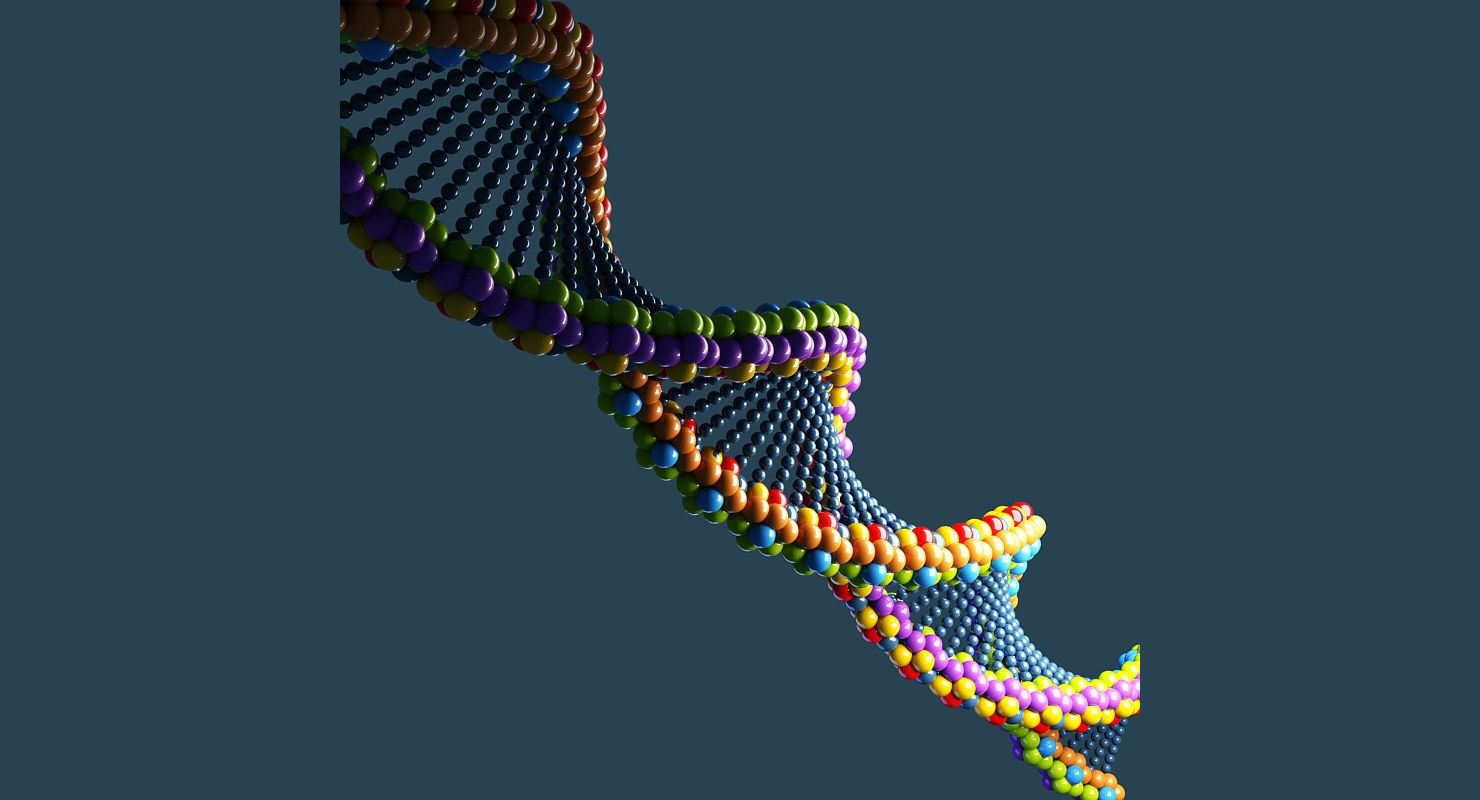 DNA 3D Model colorful strand 3D model_3