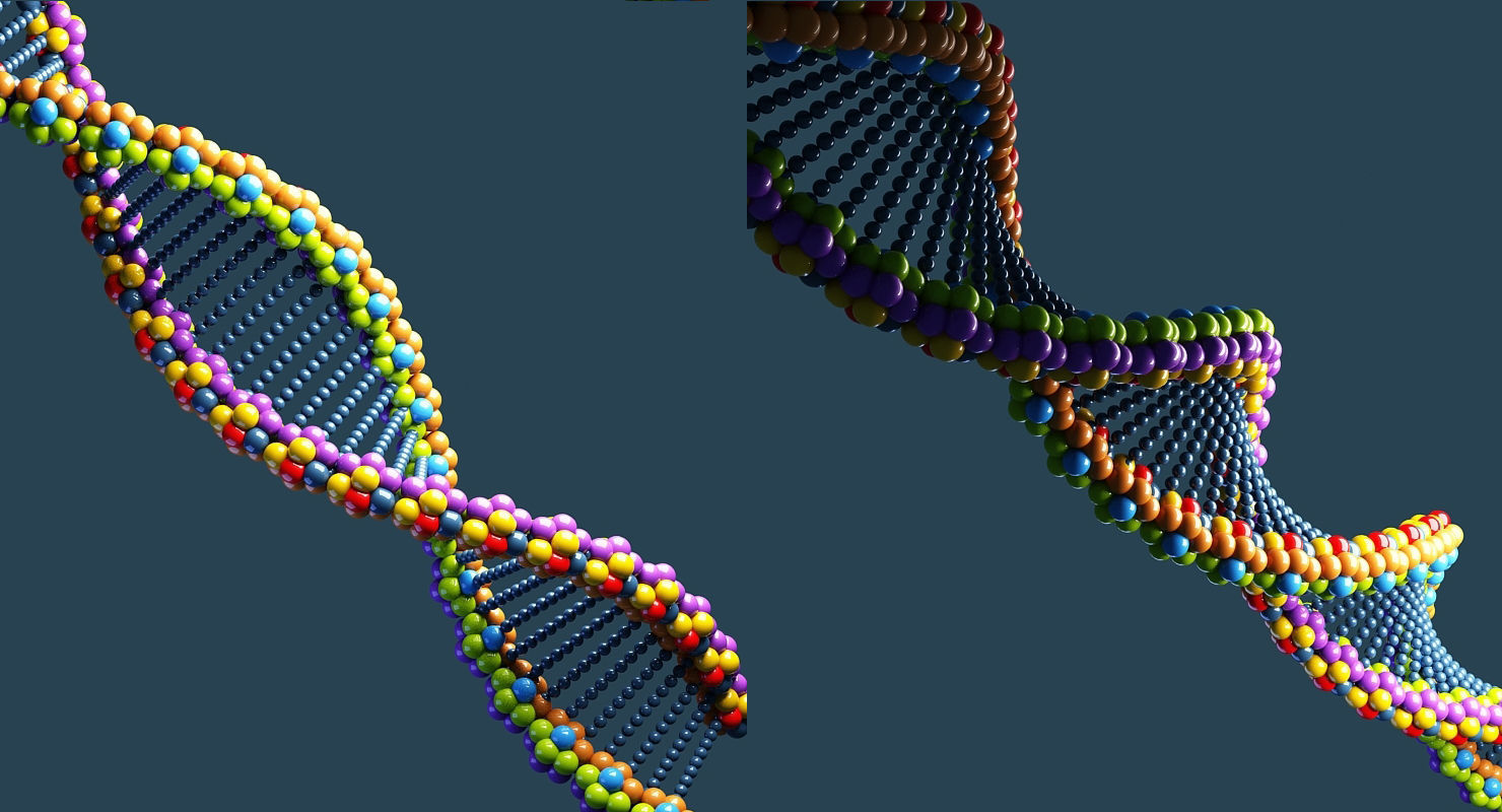 DNA 3D Model colorful strand 3D model_1