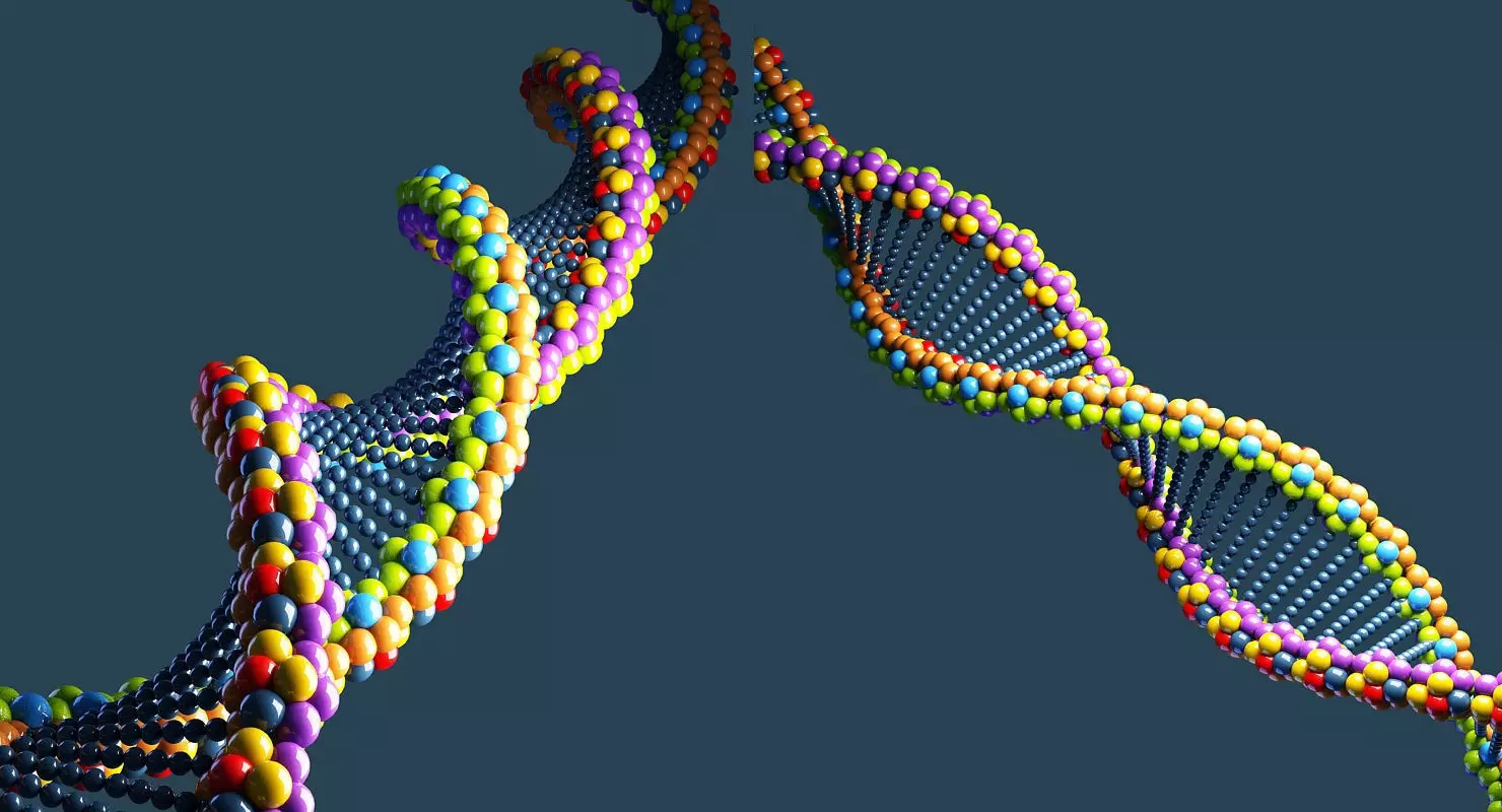 DNA 3D Model colorful strand 3D model_0