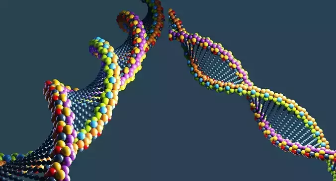 DNA 3D Model colorful strand 3D model