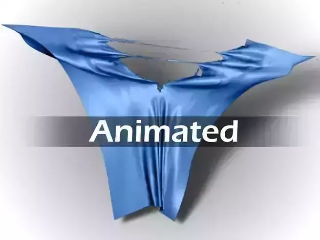 Torn Cloth 3D model