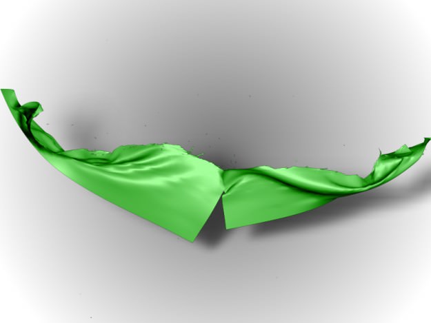 Torn Cloth 3D model_6