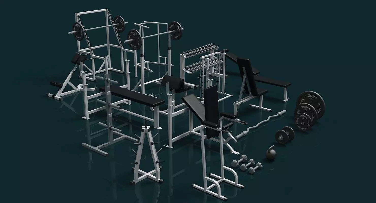 Gym Weight Collection 3D model