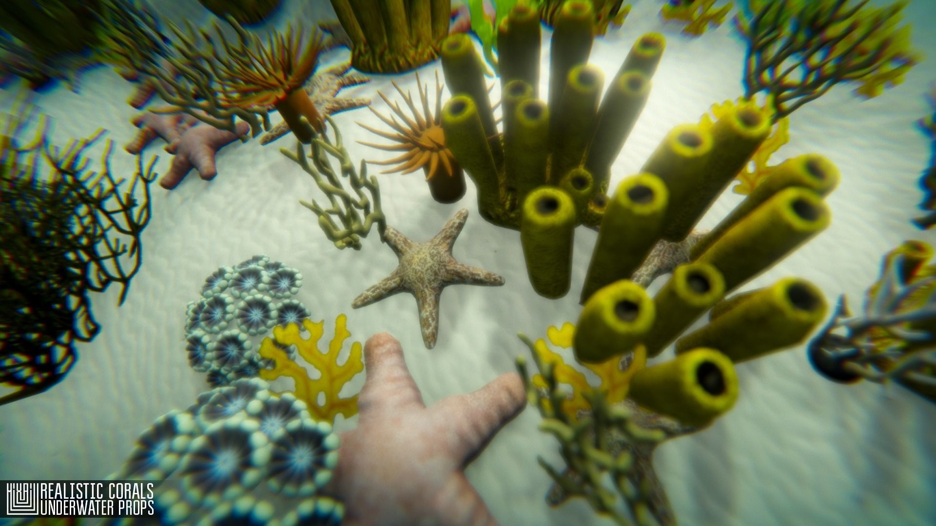 Realistic corals - underwater props 3D model_4