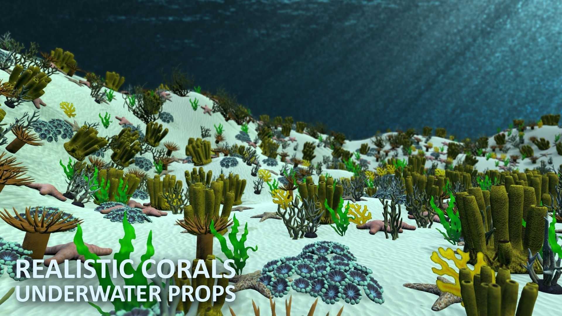 Realistic corals - underwater props 3D model_18