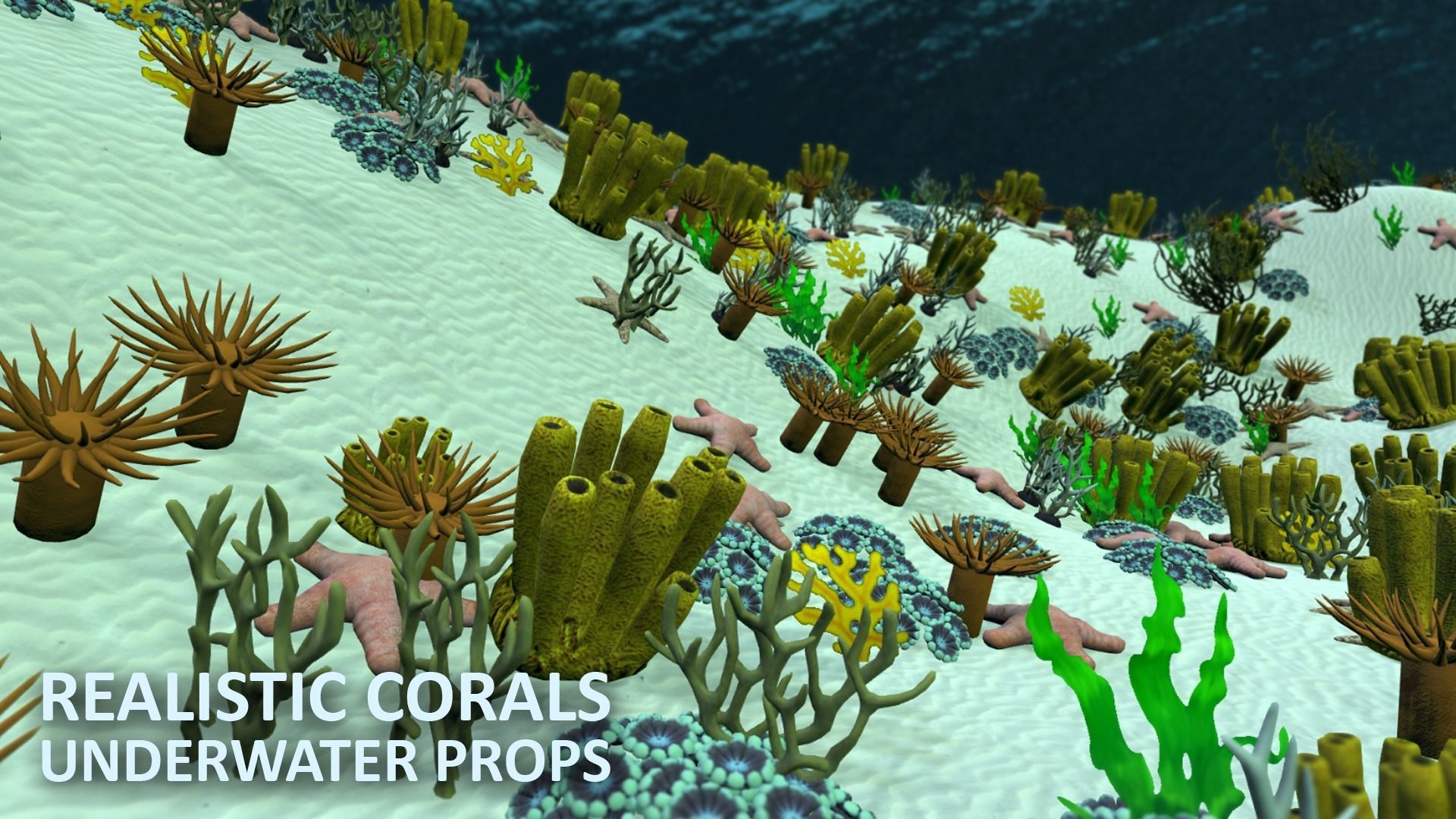 Realistic corals - underwater props 3D model_16