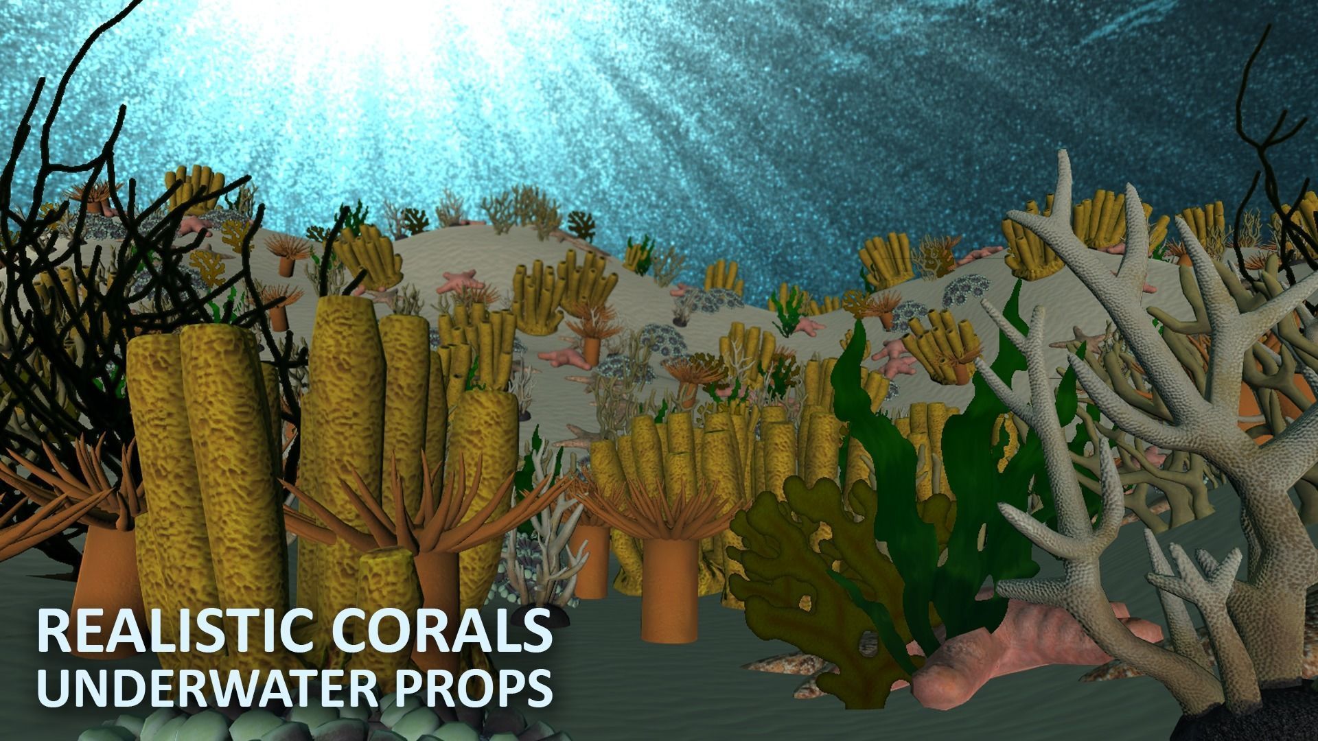 Realistic corals - underwater props 3D model_12