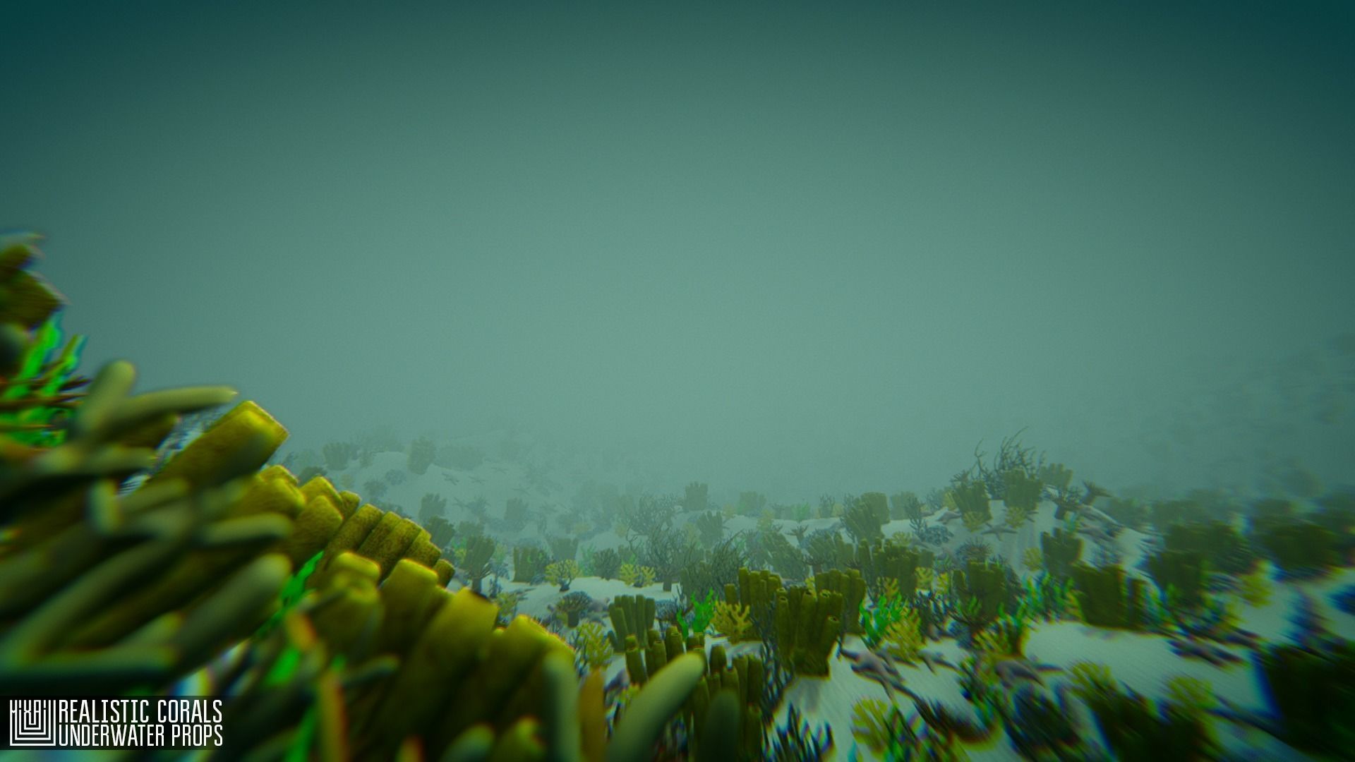 Realistic corals - underwater props 3D model_7