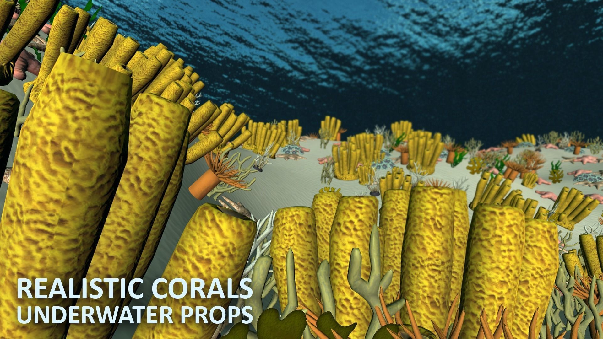 Realistic corals - underwater props 3D model_10