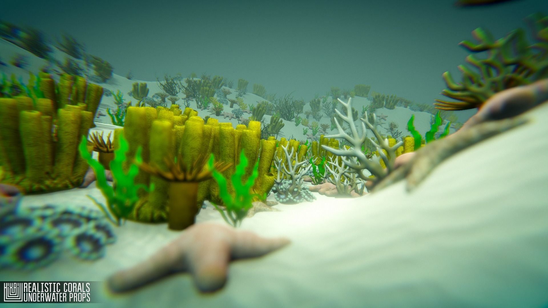 Realistic corals - underwater props 3D model_2