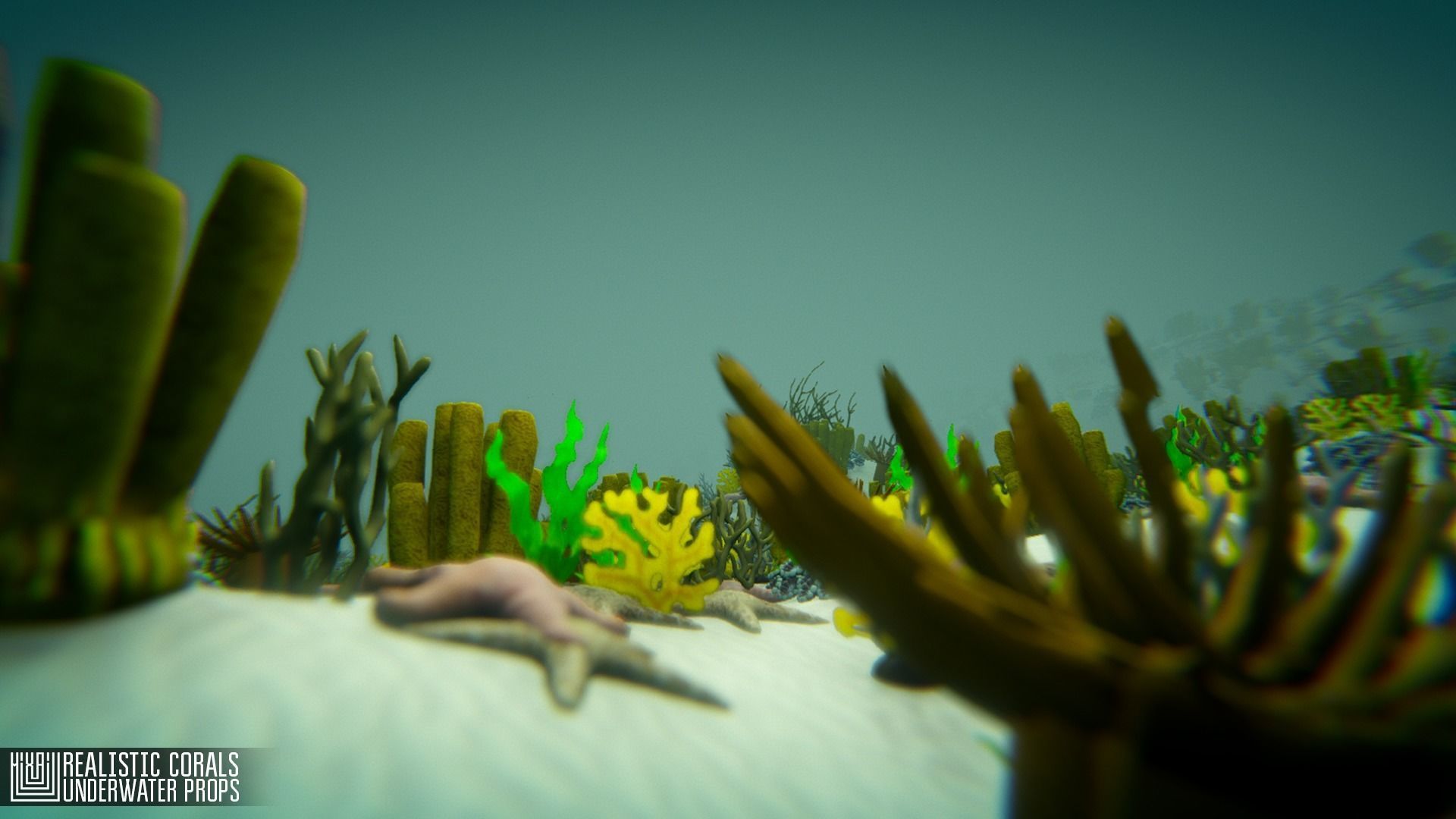 Realistic corals - underwater props 3D model_6