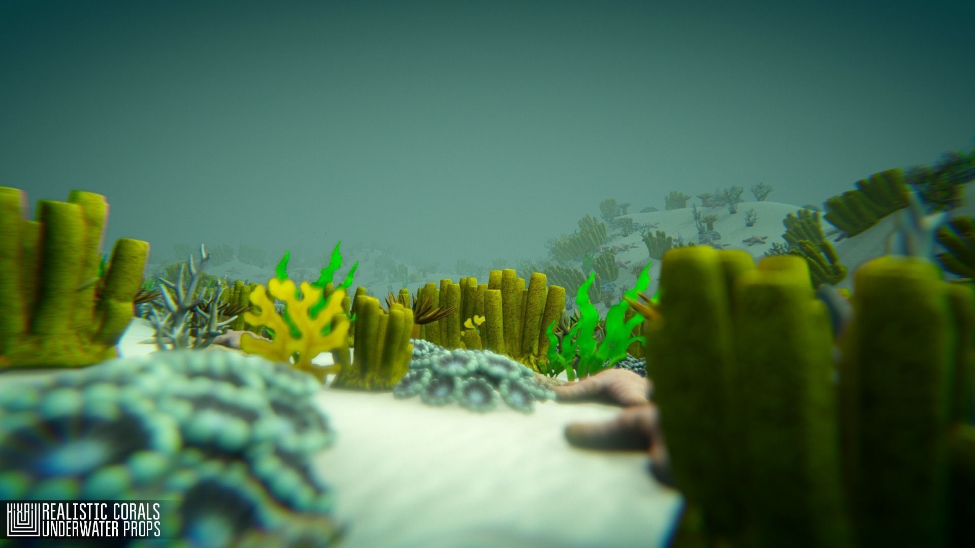 Realistic corals - underwater props 3D model_3