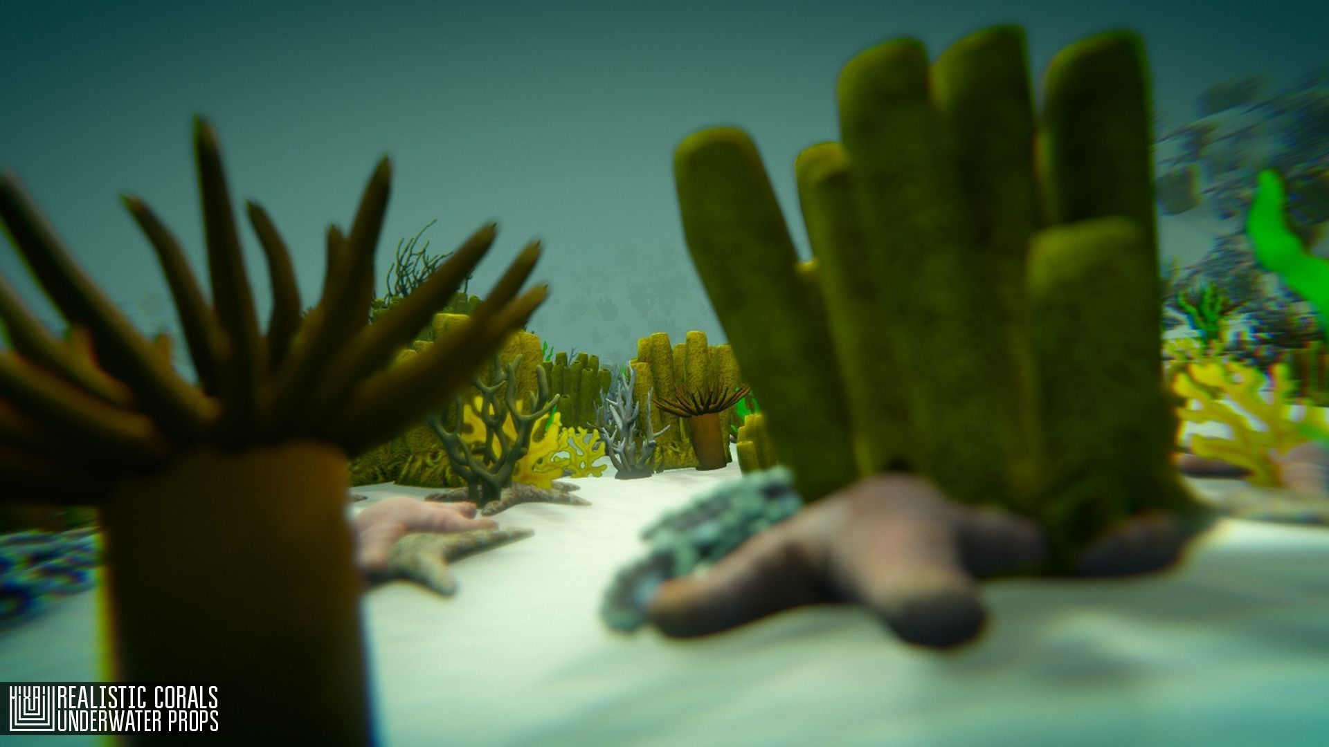 Realistic corals - underwater props 3D model_9