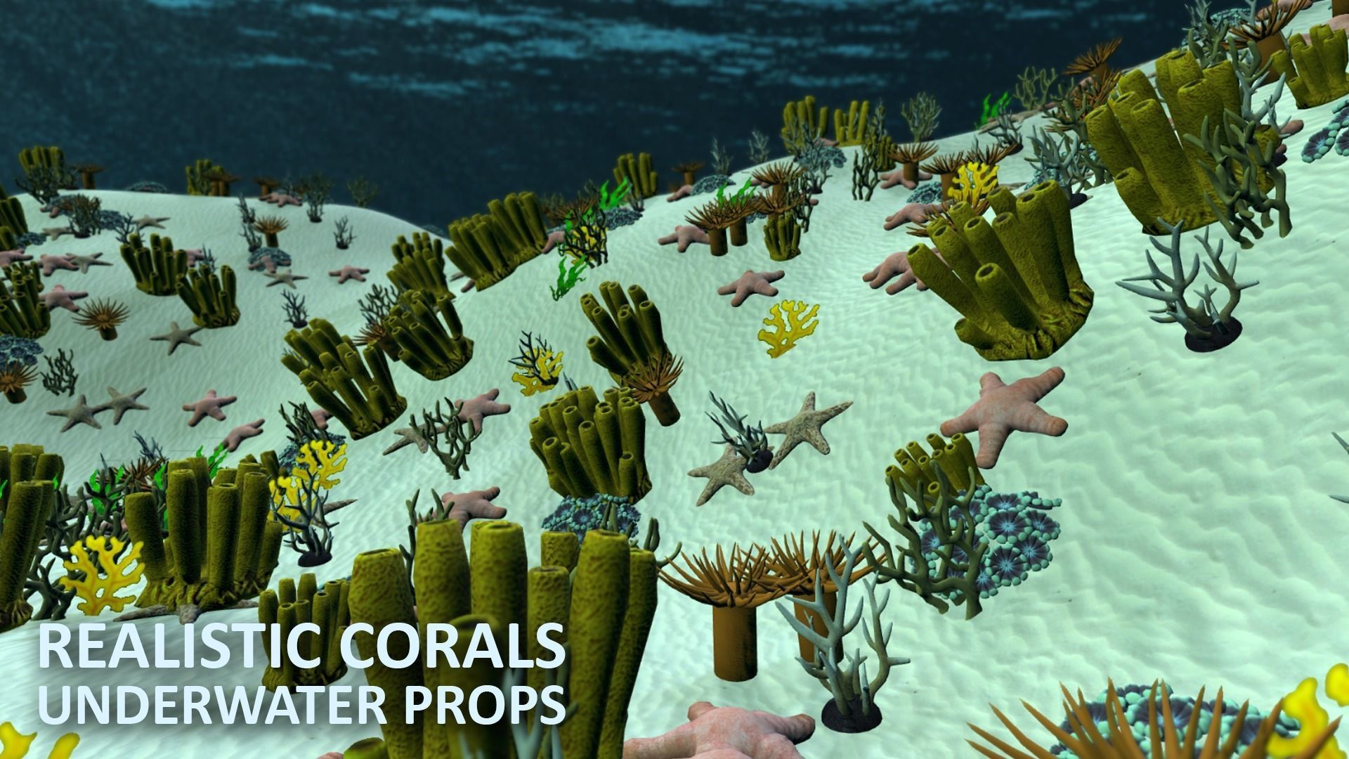 Realistic corals - underwater props 3D model_17