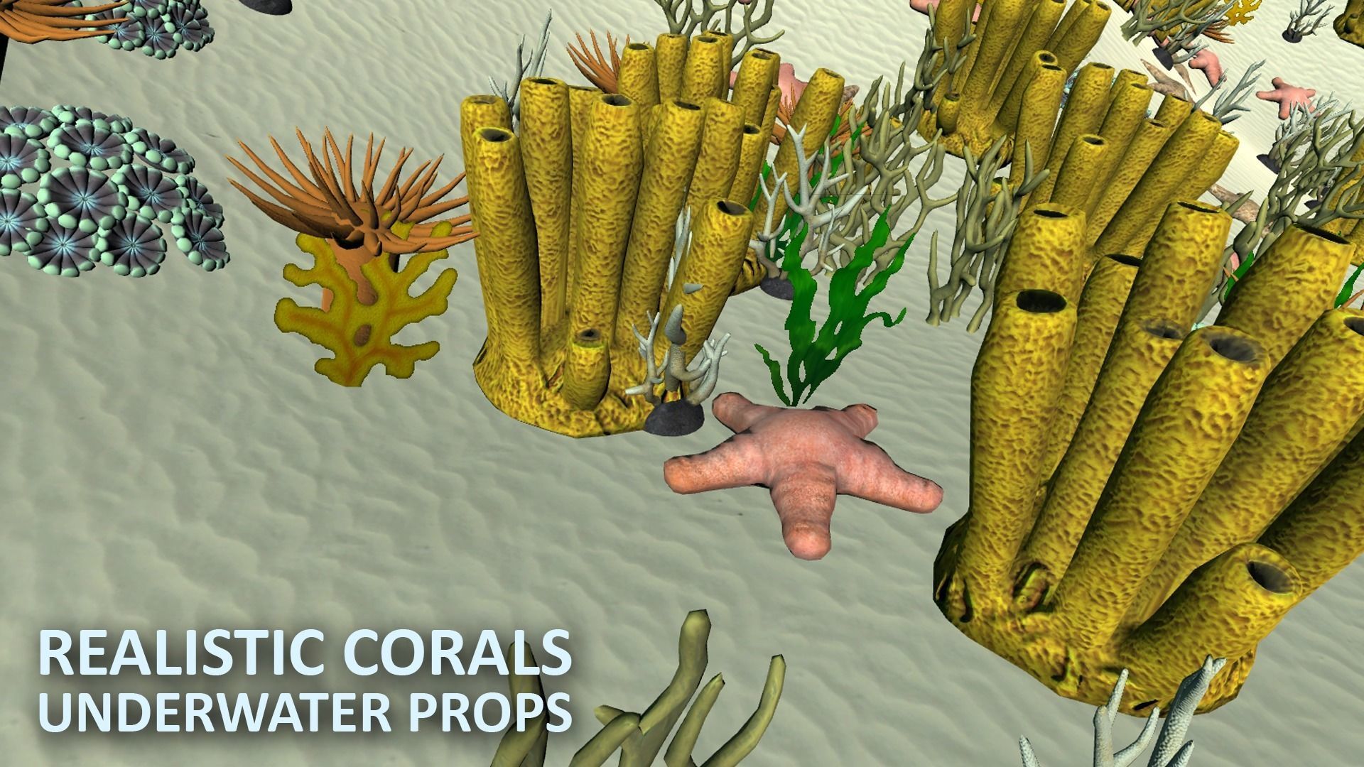 Realistic corals - underwater props 3D model_15