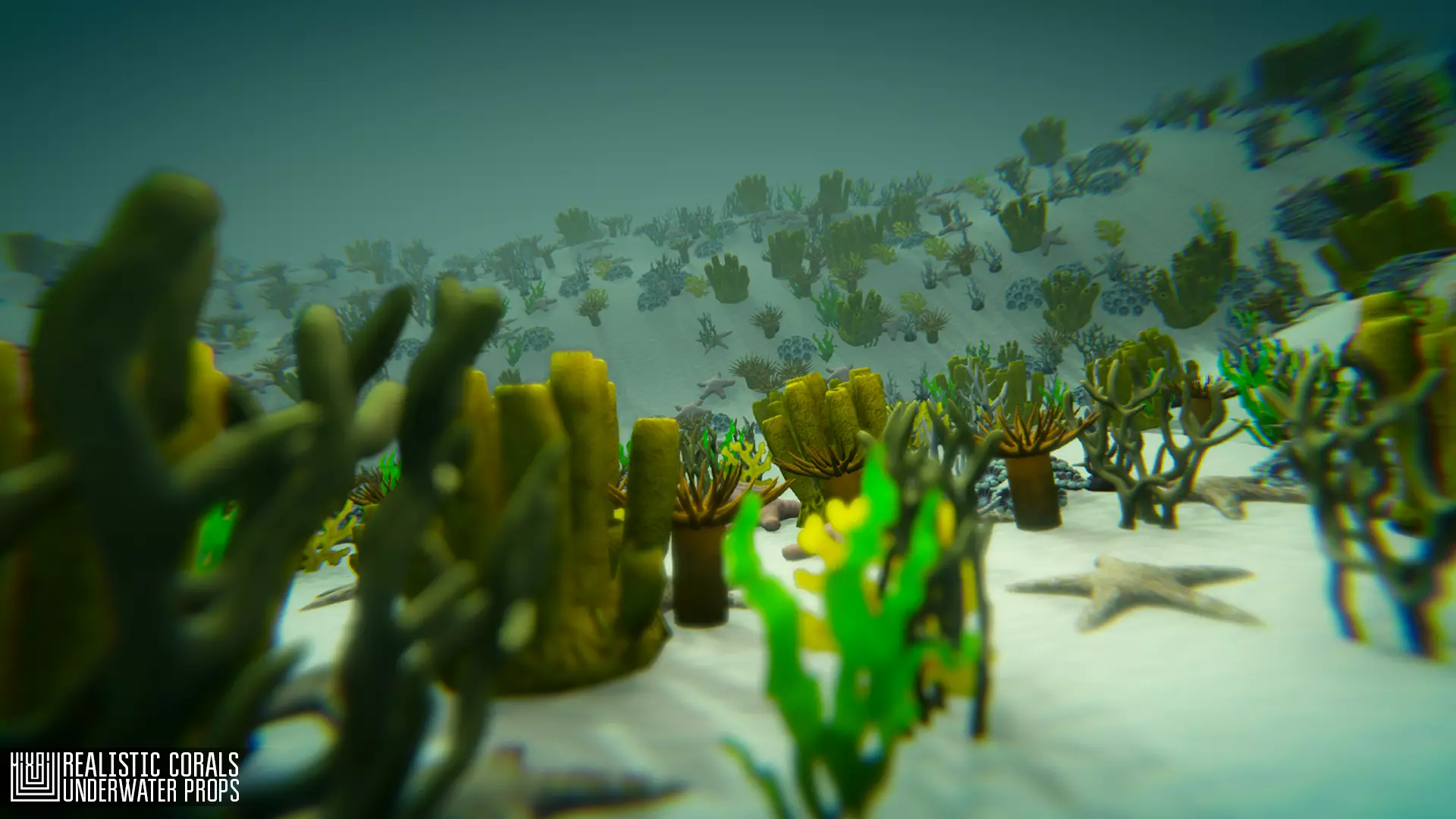 Realistic corals - underwater props 3D model_0