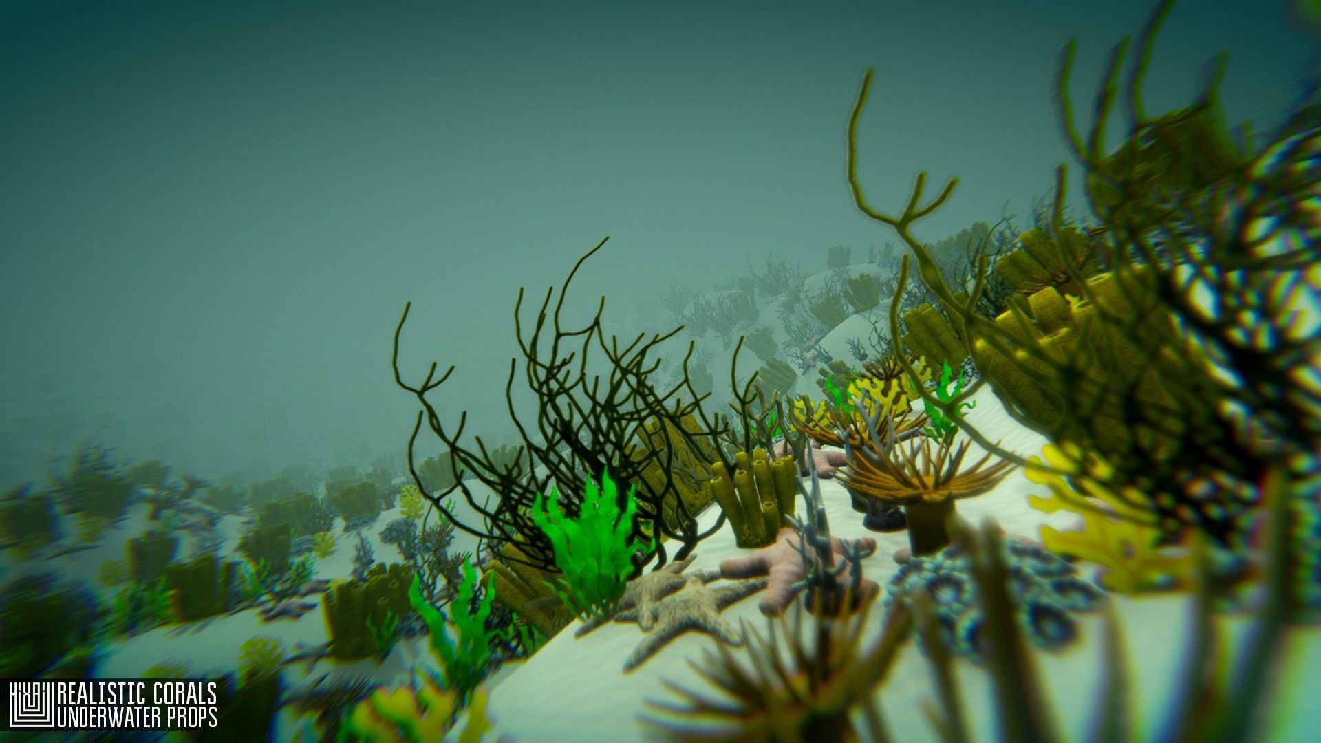 Realistic corals - underwater props 3D model_8