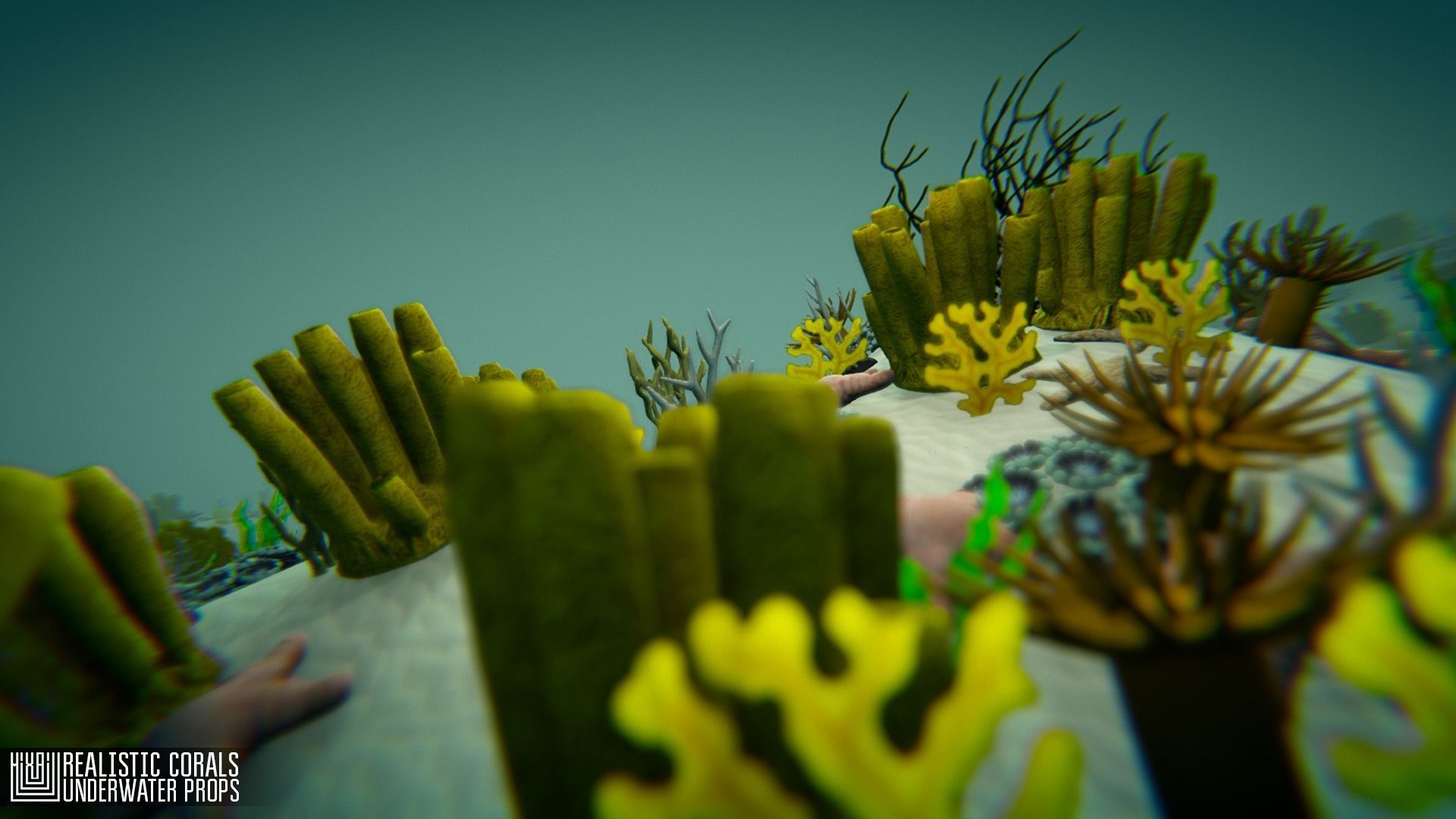 Realistic corals - underwater props 3D model_5