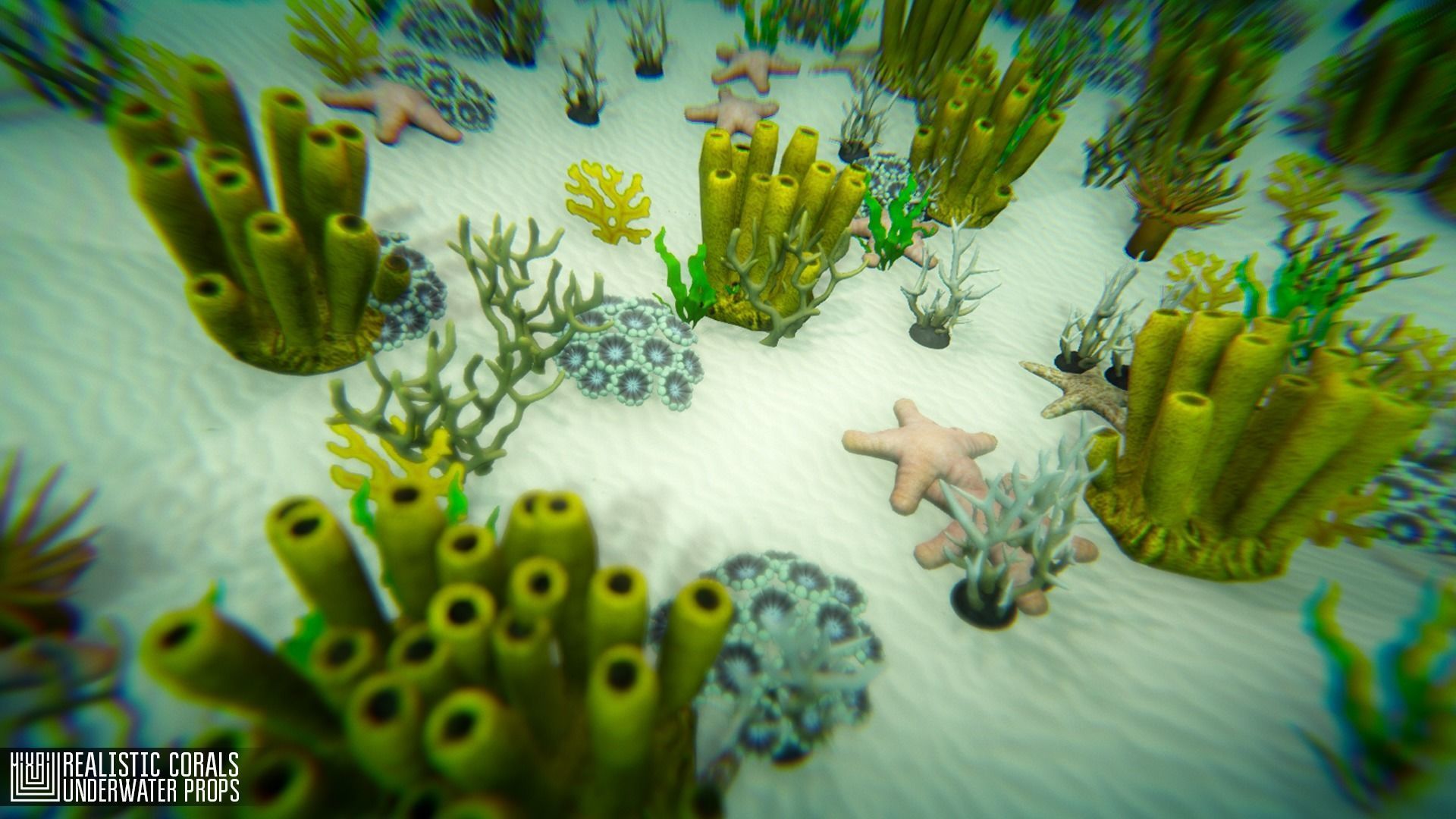 Realistic corals - underwater props 3D model_1
