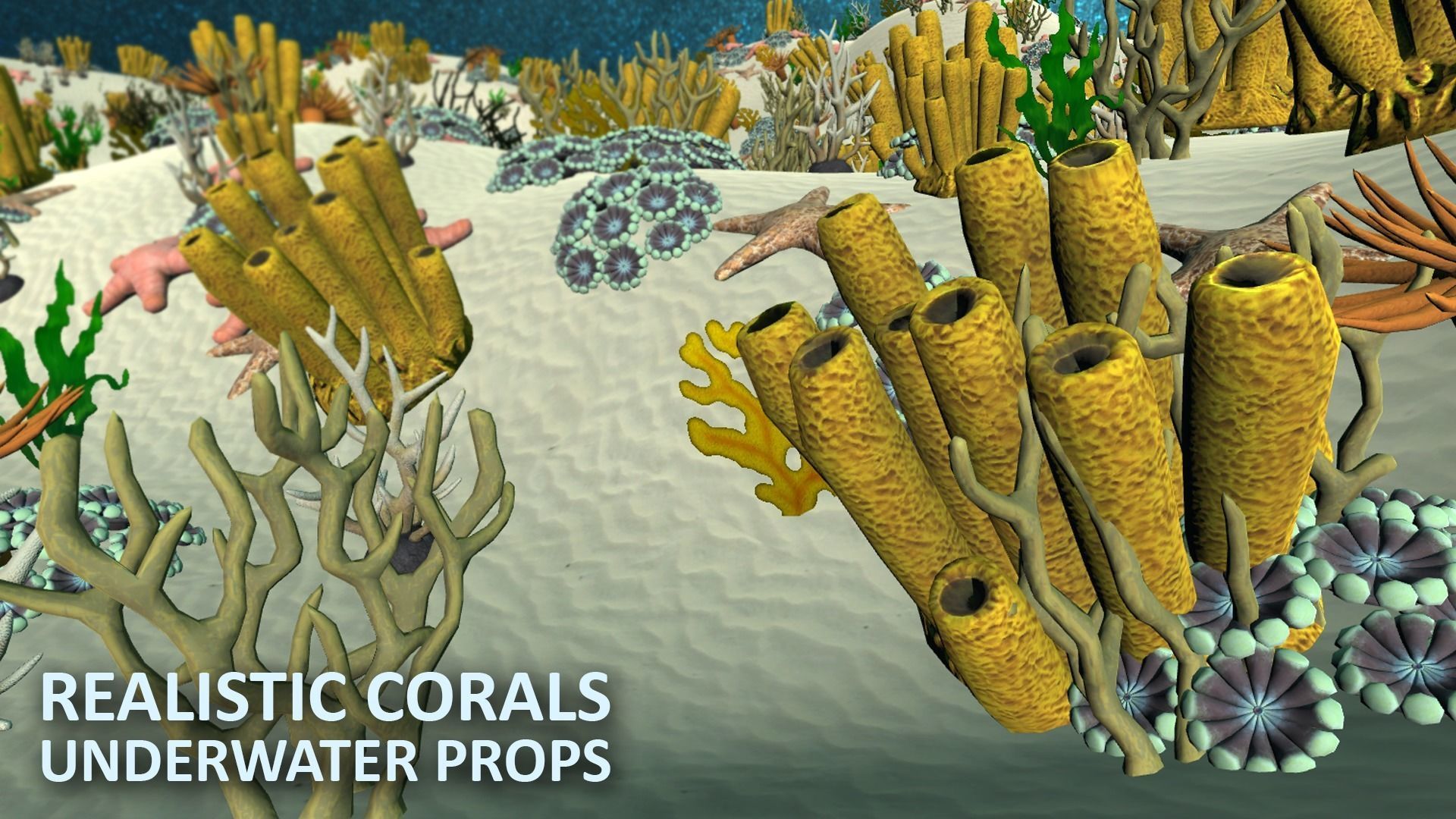 Realistic corals - underwater props 3D model_13