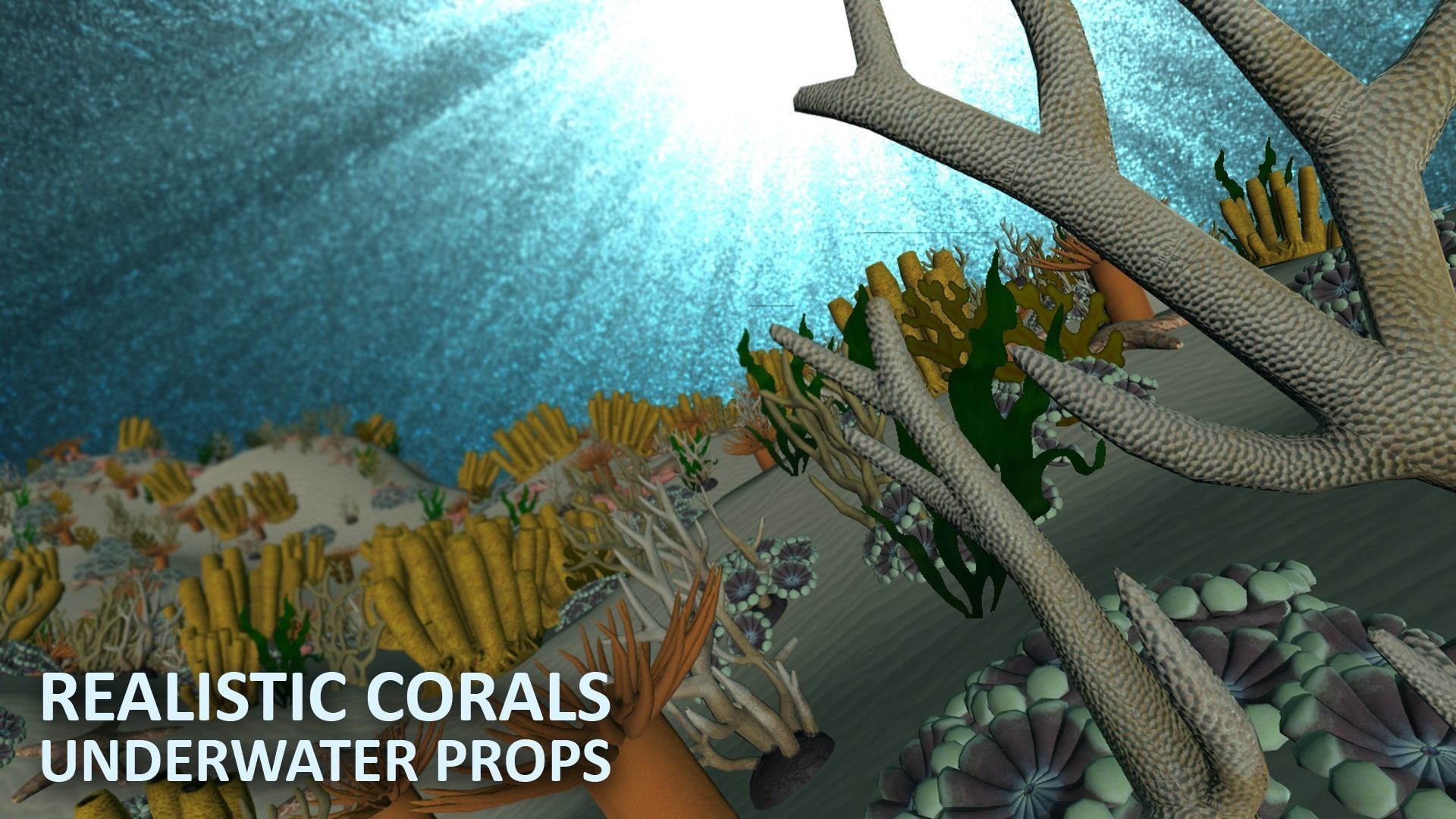 Realistic corals - underwater props 3D model_11