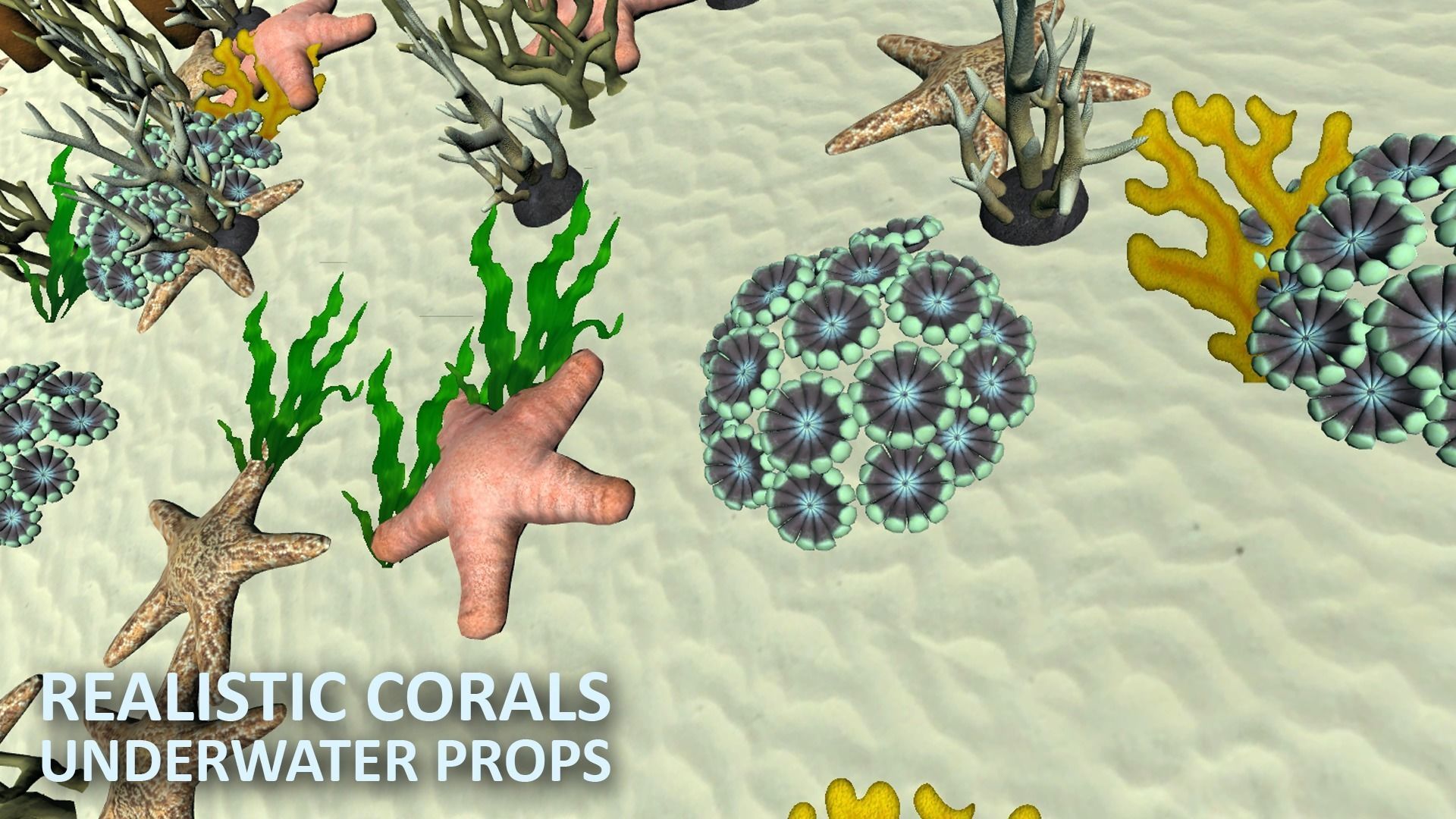 Realistic corals - underwater props 3D model_14