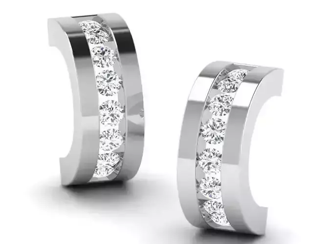 Silver Earrings With Diamonds 1