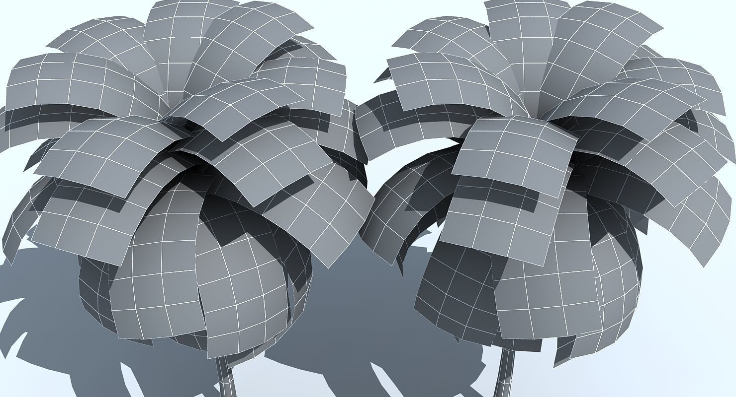 Palm Tree 3D model_3